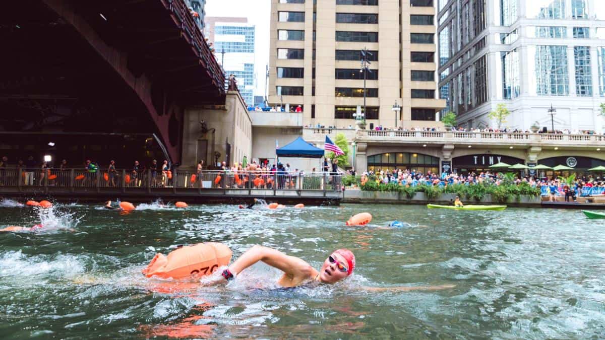 Chicago river swim