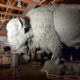 bronze-bison