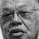 kermitt-Gosnell