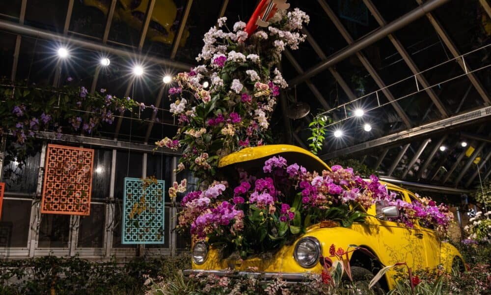 orchidee-chicago-botanic-garden