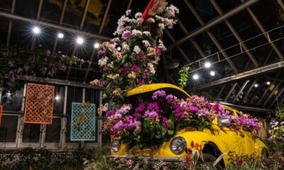 orchidee-chicago-botanic-garden