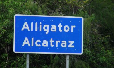 Alligator_Alcatraz