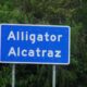 Alligator_Alcatraz