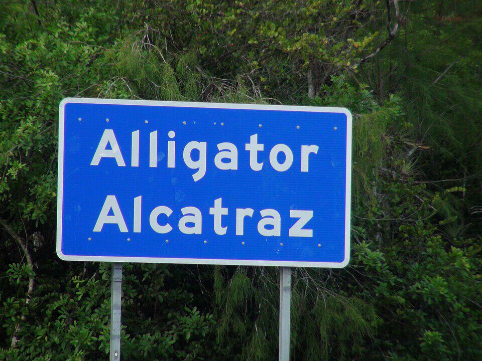 Alligator_Alcatraz