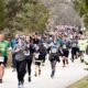 Champion-of-Trees-10K