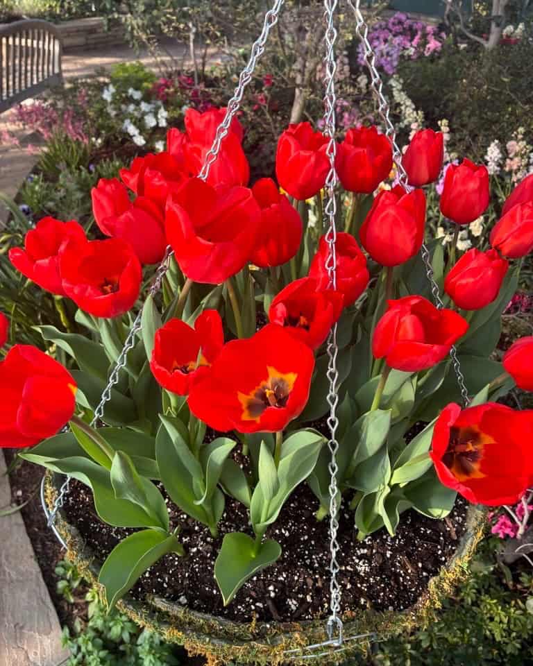 Garfield-Park-Conservatory
