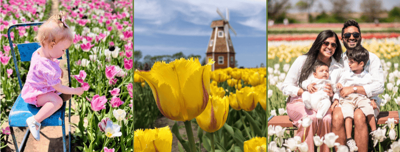 Kuipers Family Farm