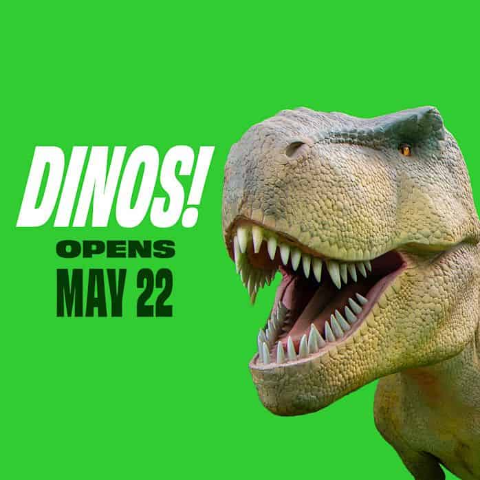 dinos