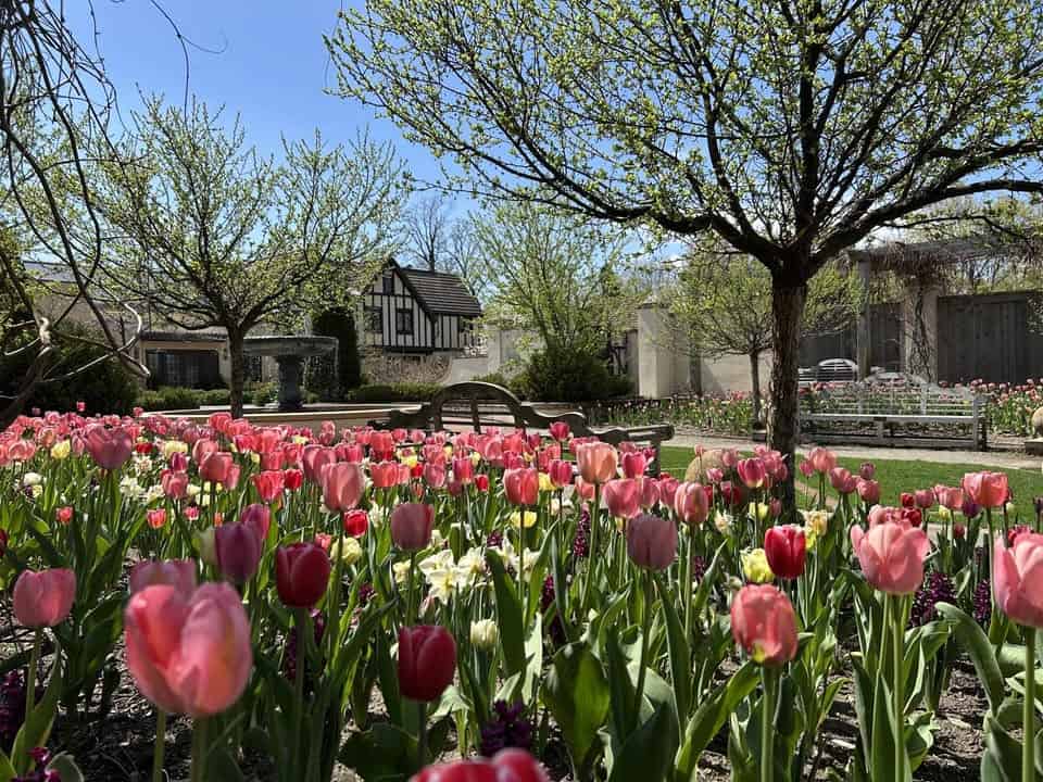 Paine Art Center and Gardens spring festival