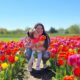 Richardson Farm Tulip Festival