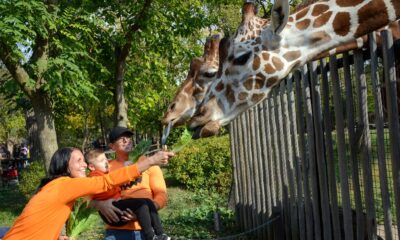 brookfield-zoo