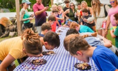 Blueberry Festival