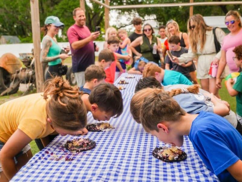 Blueberry Festival