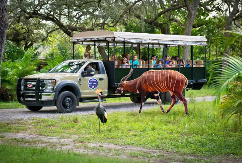 zootampa