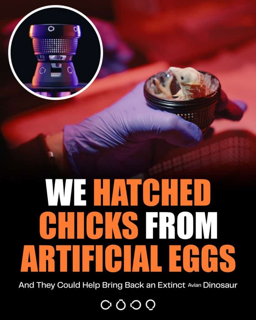 Colossal Biosciences sztuczne jajko