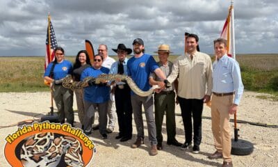 Florida Python Challenge