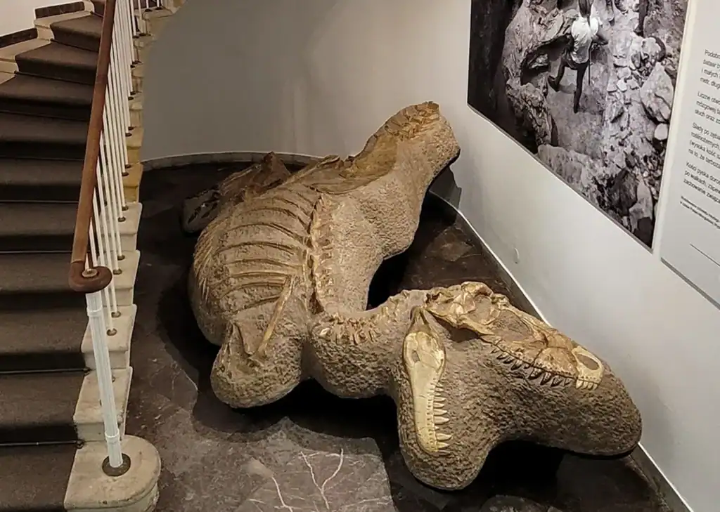 Muzeum Ziemi w Warszawie