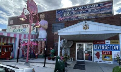 Pink Elephant Antique Mall