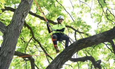 Illinois Arborist Association