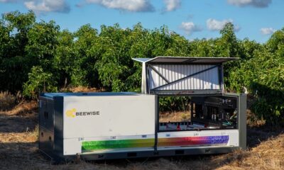 beehome-beewise