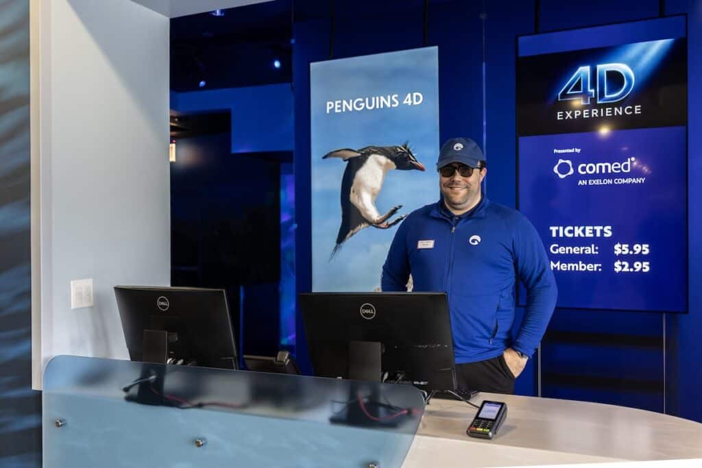 shedd kino 4D