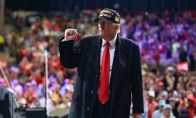 trumpdonald