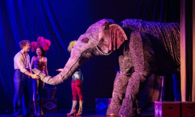 water for elephants
