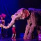 water for elephants