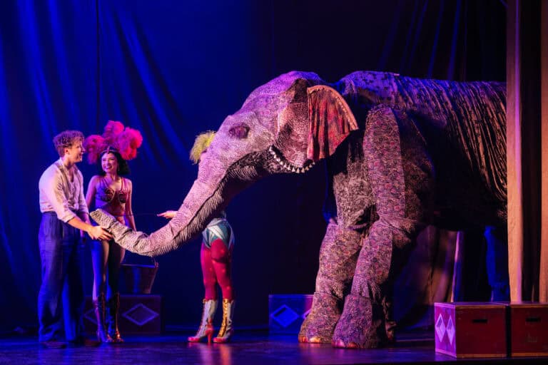 water for elephants