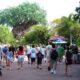 Disneys_Animal_Kingdom