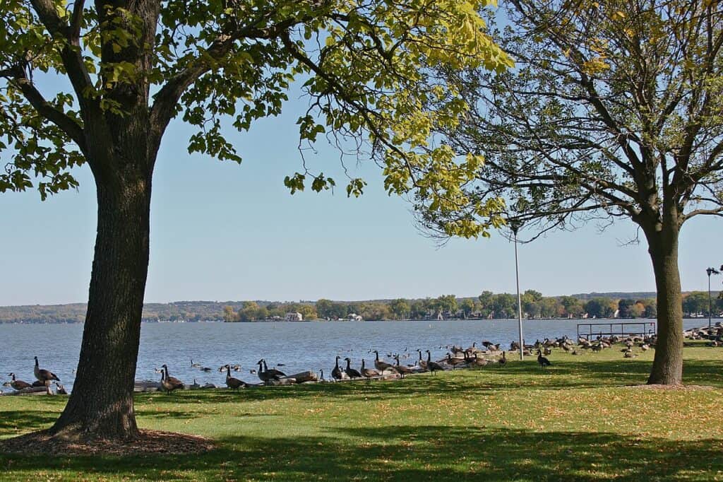 Lakeside Park położony nad jeziorem Winnebago