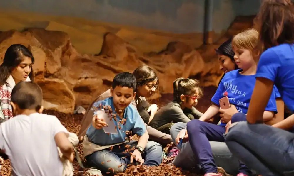 Chicago-Childrens-Museum