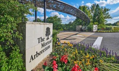 Morton-Arboretum