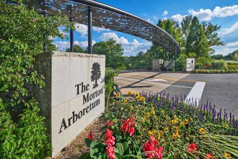 Morton-Arboretum