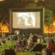 Movies In The Parks