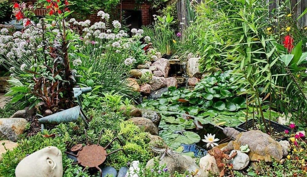 SheffieldGarden