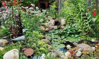 SheffieldGarden