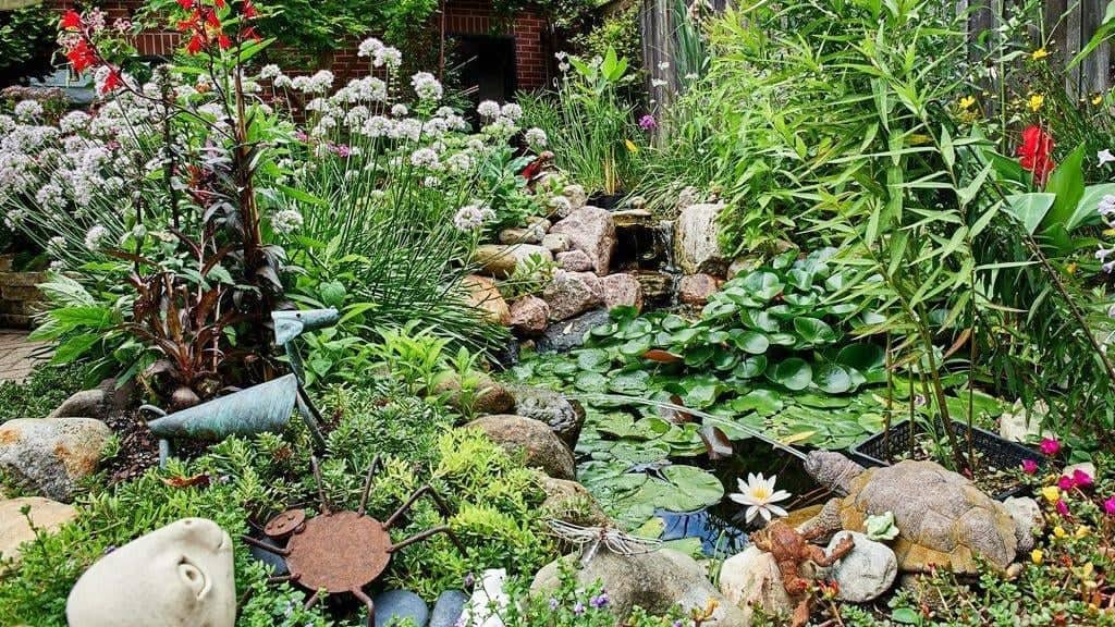 SheffieldGarden