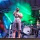 Taste of Des Plaines