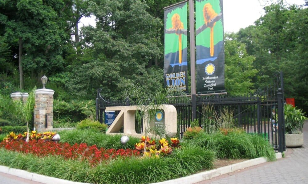 Washington Park Zoo