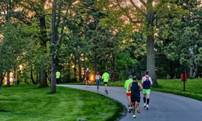 morton arboretum fireflyrun