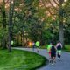 morton arboretum fireflyrun