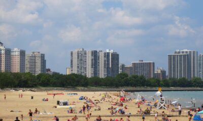 foster-beach