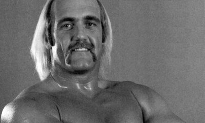 hulk hogan