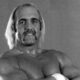 hulk hogan