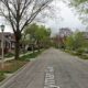 lyman-ave-oak-park