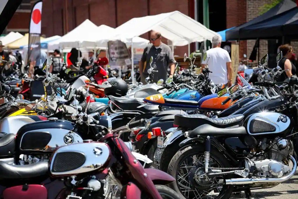 motoblot