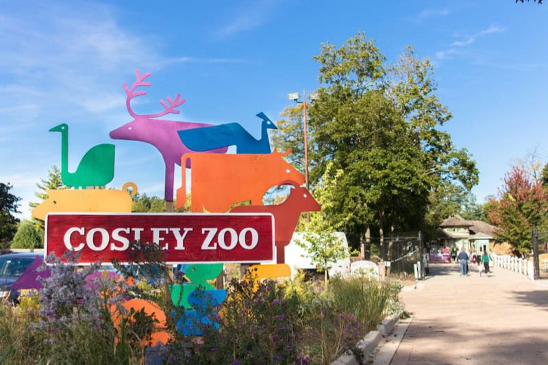Cosley Zoo w Wheaton