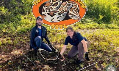 Florida-Python-Challenge