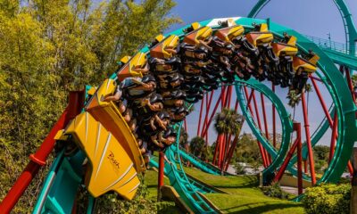 Busch Gardens Tampa Bay kumba